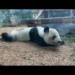 Meet your Posher, Hanna